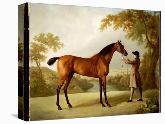 Tristram Shandy, a Bay Racehorse Held by a Groom in an Extensive Landscape, C.1760-George Stubbs-Stretched Canvas