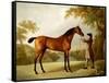 Tristram Shandy, a Bay Racehorse Held by a Groom in an Extensive Landscape, circa 1760-George Stubbs-Framed Stretched Canvas