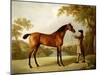 Tristram Shandy, a Bay Racehorse Held by a Groom in an Extensive Landscape, circa 1760-George Stubbs-Mounted Giclee Print
