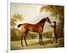 Tristram Shandy, a Bay Racehorse Held by a Groom in an Extensive Landscape, circa 1760-George Stubbs-Framed Premium Giclee Print