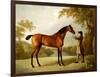 Tristram Shandy, a Bay Racehorse Held by a Groom in an Extensive Landscape, circa 1760-George Stubbs-Framed Premium Giclee Print