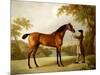 Tristram Shandy, a Bay Racehorse Held by a Groom in an Extensive Landscape, circa 1760-George Stubbs-Mounted Premium Giclee Print