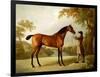 Tristram Shandy, a Bay Racehorse Held by a Groom in an Extensive Landscape, circa 1760-George Stubbs-Framed Premium Giclee Print