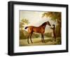 Tristram Shandy, a Bay Racehorse Held by a Groom in an Extensive Landscape, circa 1760-George Stubbs-Framed Giclee Print