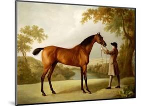 Tristram Shandy, a Bay Racehorse Held by a Groom in an Extensive Landscape, circa 1760-George Stubbs-Mounted Giclee Print