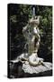 Triton, Detail from Triton Fountain-null-Stretched Canvas