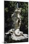 Triton, Detail from Triton Fountain-null-Mounted Giclee Print