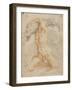 Triton portant un poisson-Federico Barocci-Framed Giclee Print