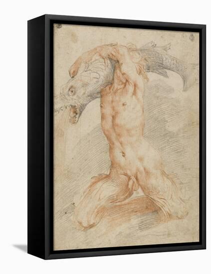 Triton portant un poisson-Federico Barocci-Framed Stretched Canvas