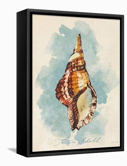 Triton Shell-Lanie Loreth-Framed Stretched Canvas