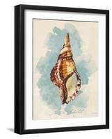 Triton Shell-Lanie Loreth-Framed Art Print