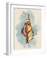 Triton Shell-Lanie Loreth-Framed Art Print