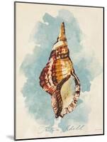 Triton Shell-Lanie Loreth-Mounted Art Print