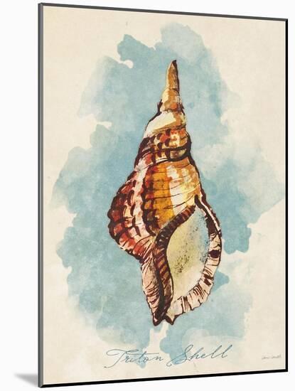Triton Shell-Lanie Loreth-Mounted Art Print