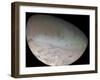 Triton, the Largest Moon of Planet Neptune-Stocktrek Images-Framed Photographic Print