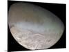 Triton, the Largest Moon of Planet Neptune-Stocktrek Images-Mounted Photographic Print