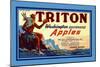 Triton Washington Dehyrated Apples-null-Mounted Art Print