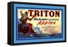 Triton Washington Dehyrated Apples-null-Framed Stretched Canvas