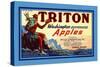 Triton Washington Dehyrated Apples-null-Stretched Canvas