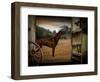 Tritz-Lynne Davies-Framed Photographic Print