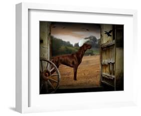 Tritz-Lynne Davies-Framed Photographic Print