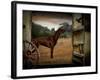 Tritz-Lynne Davies-Framed Photographic Print