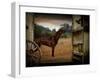 Tritz-Lynne Davies-Framed Photographic Print