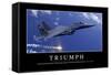 Triumph: Motivationsposter Mit Inspirierendem Zitat-null-Framed Stretched Canvas