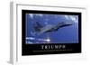 Triumph: Motivationsposter Mit Inspirierendem Zitat-null-Framed Photographic Print