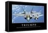 Triumph: Motivationsposter Mit Inspirierendem Zitat-null-Framed Stretched Canvas