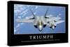 Triumph: Motivationsposter Mit Inspirierendem Zitat-null-Stretched Canvas