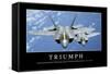 Triumph: Motivationsposter Mit Inspirierendem Zitat-null-Framed Stretched Canvas