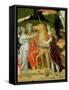 Triumph of Chastity, Inspired by Triumphs by Petrarch-Jacopo Del Sellaio-Framed Stretched Canvas