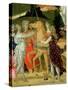 Triumph of Chastity, Inspired by Triumphs by Petrarch-Jacopo Del Sellaio-Stretched Canvas