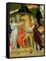 Triumph of Chastity, Inspired by Triumphs by Petrarch-Jacopo Del Sellaio-Framed Stretched Canvas