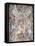 Triumph of Divine Providence-Pietro Da Cortona-Framed Stretched Canvas