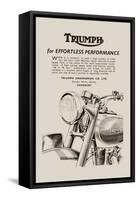 Triumph of Effortless Performance-null-Framed Stretched Canvas