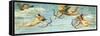 Triumph of Galatea, 1511-null-Framed Stretched Canvas