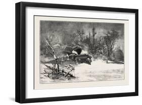 Triumph of the Snow-Plough, Canada, Nineteenth Century-null-Framed Giclee Print