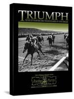 Triumph-null-Stretched Canvas