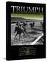 Triumph-null-Stretched Canvas