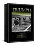 Triumph-null-Framed Stretched Canvas