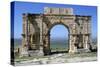 Triumphal Arch, Volubilis, Morocco-Vivienne Sharp-Stretched Canvas
