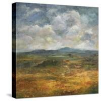 Triumphant Skies-Bill Philip-Stretched Canvas