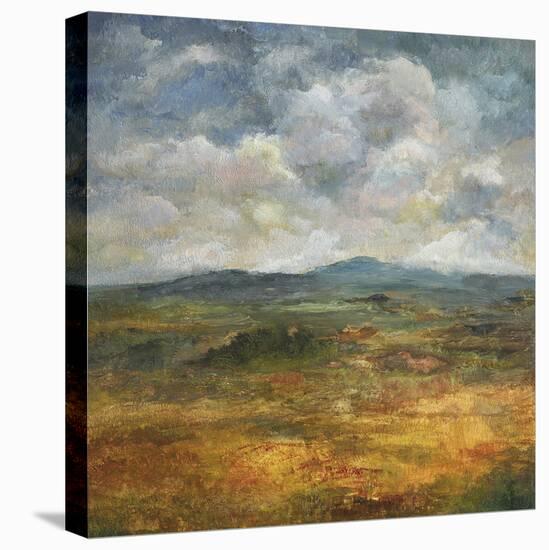 Triumphant Skies-Bill Philip-Stretched Canvas