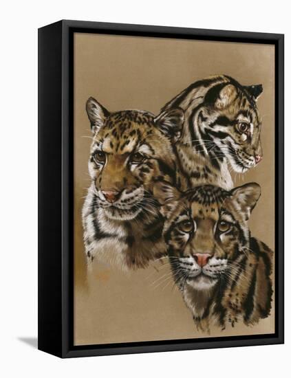 Triumvarate-Barbara Keith-Framed Stretched Canvas