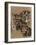 Triumvarate-Barbara Keith-Framed Giclee Print