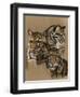 Triumvarate-Barbara Keith-Framed Giclee Print