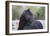 Triunfador X 008-Bob Langrish-Framed Photographic Print