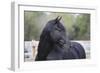 Triunfador X 008-Bob Langrish-Framed Photographic Print